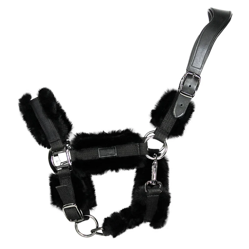 EQUEST Halfter Vario Illusion Anatomical Legend | Black Finish