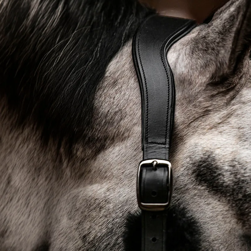 EQUEST Halfter Vario Illusion Anatomical Legend | Black Finish