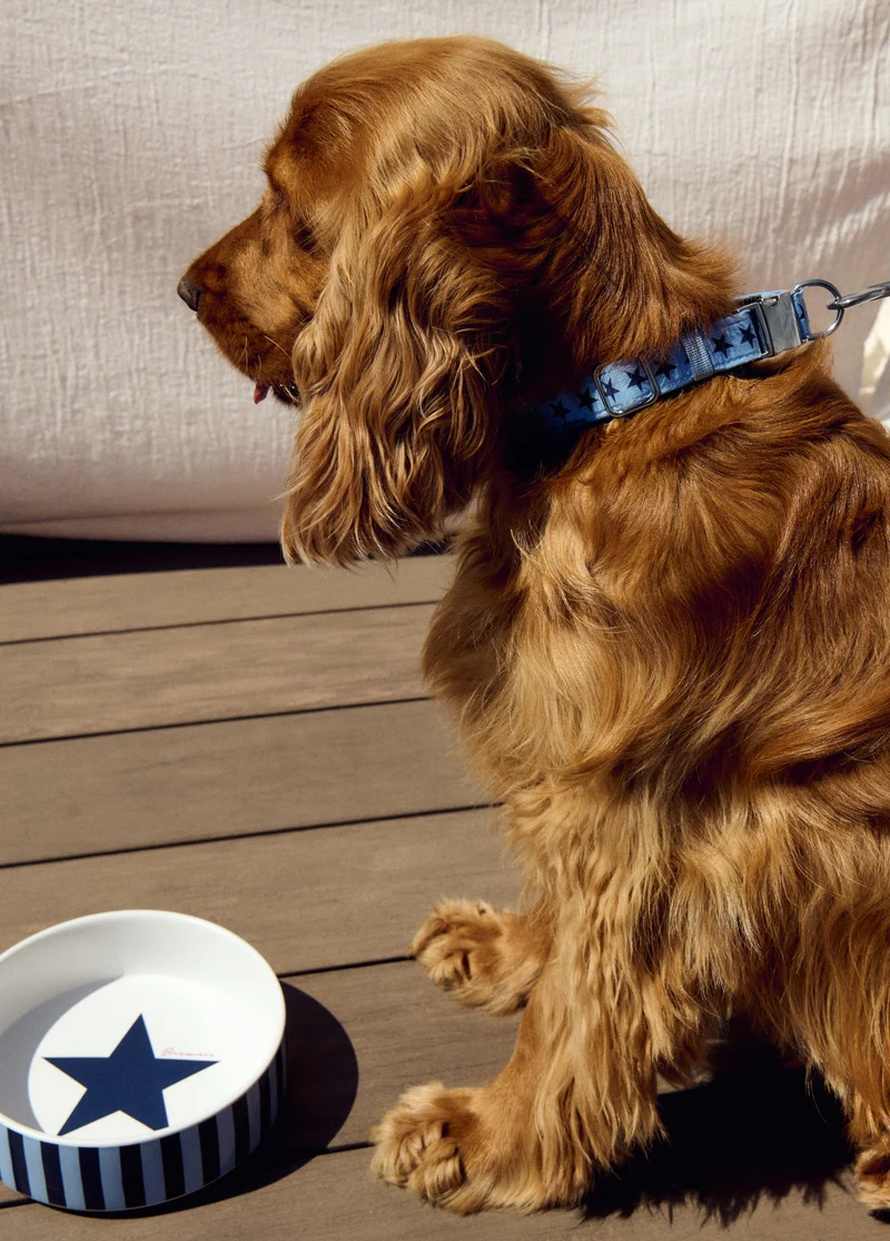 Large pet bowl