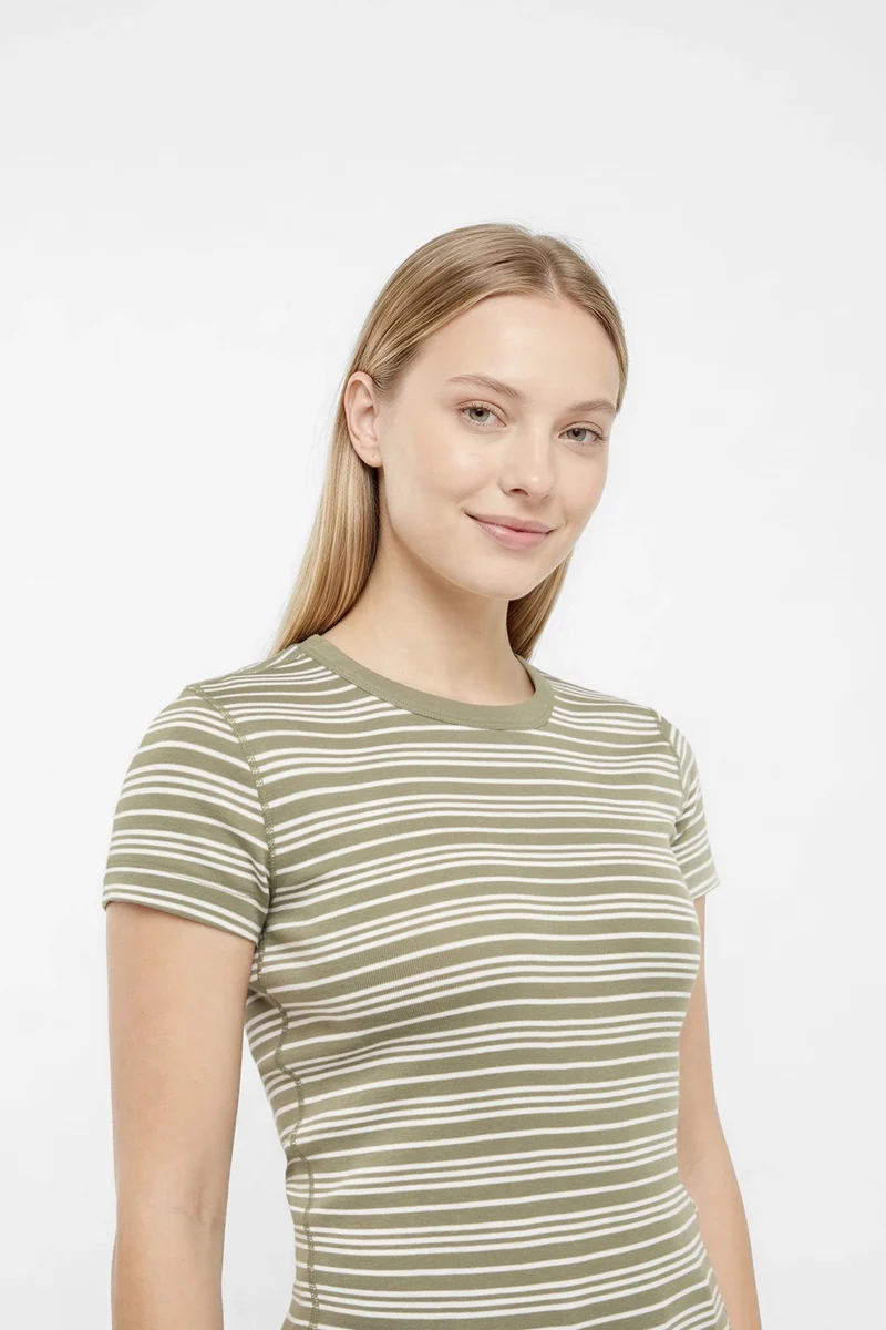 Crew-Neck Short Sleeve Tee | Deep Lichen Kent Stripe