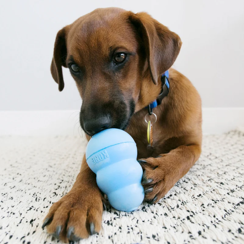 Hundesnack KONG® Snacks™
