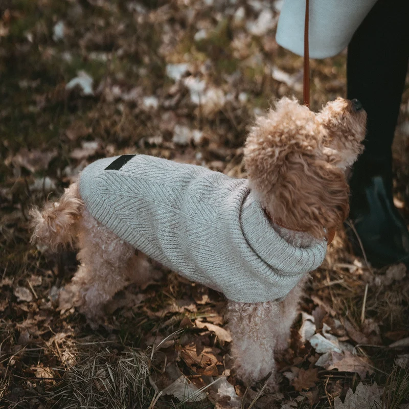 Hundepullover Genf