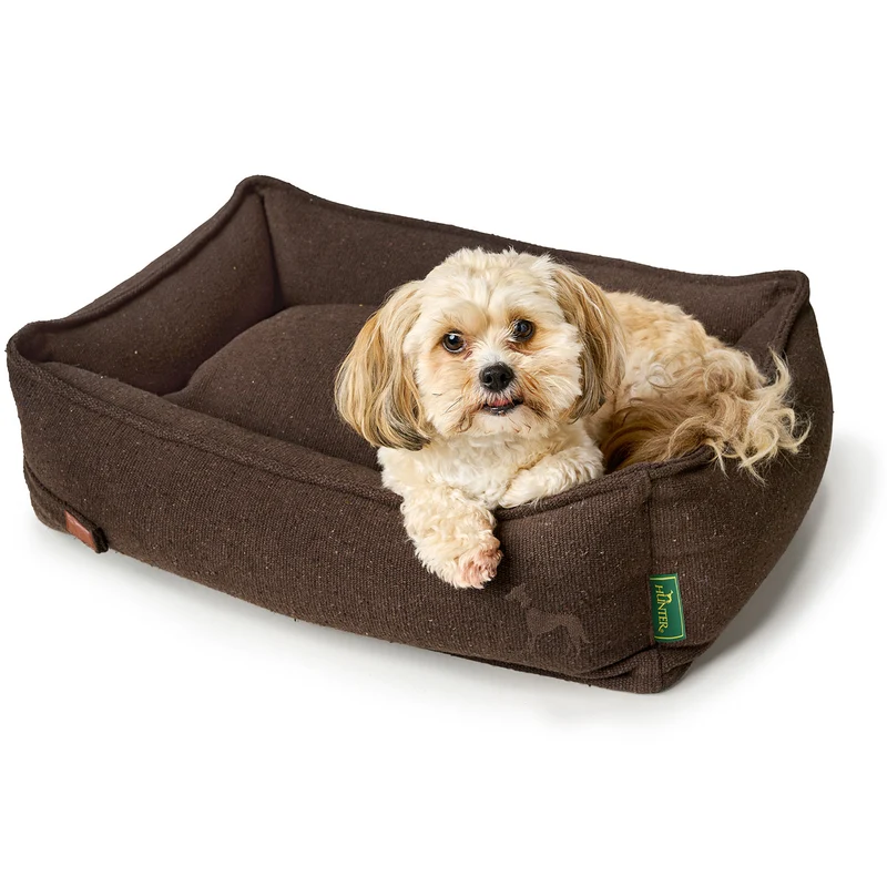 Recycling Hundesofa Belluno