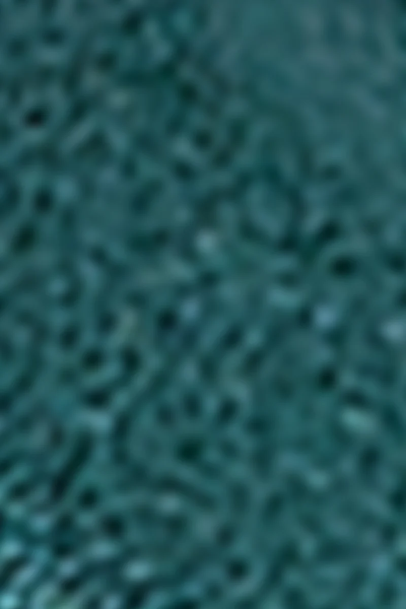 Shiny Belt