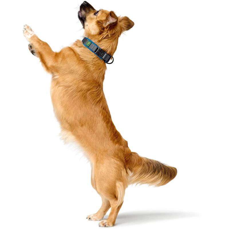 Halsung Maldon
