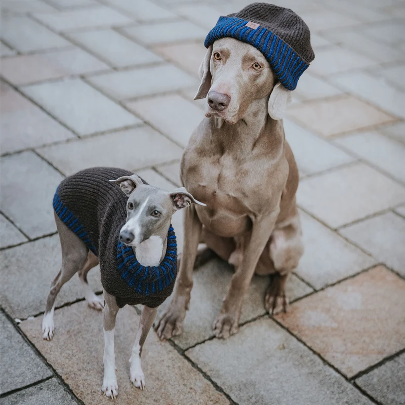 Hundepullover Odense mit Mütze (Set)