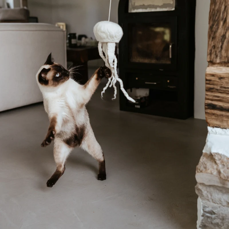 Katzenspielzeug Kwalle Karl