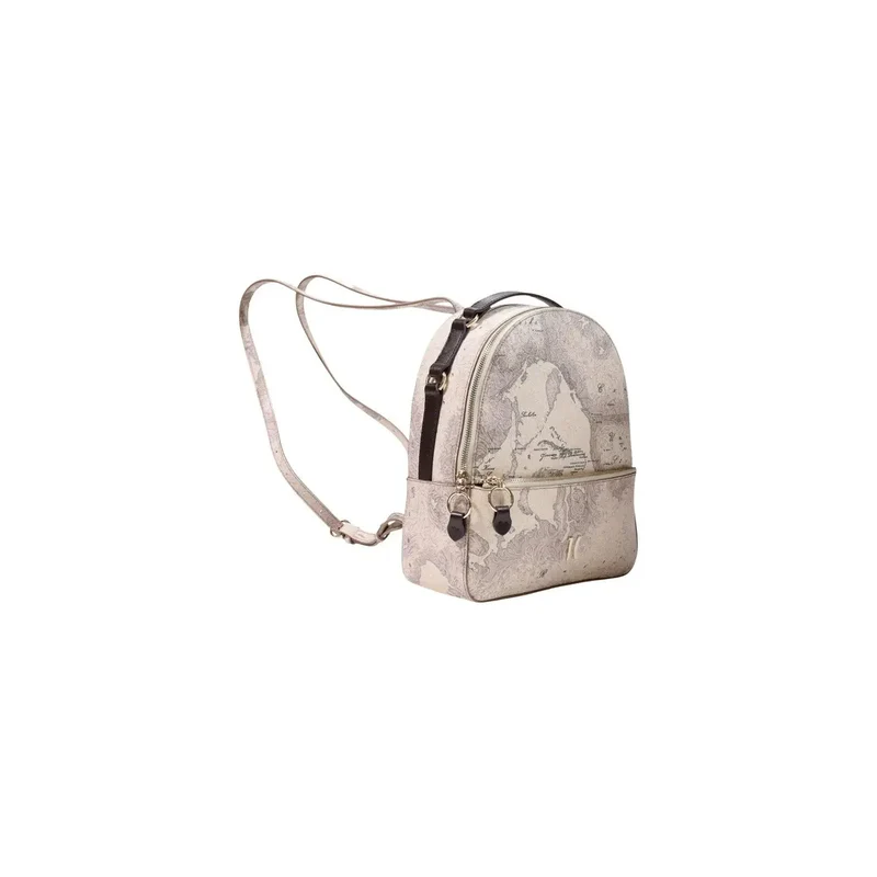 Alviero Martini Damenrucksack aus grauem Leder, 24 x 29 cm