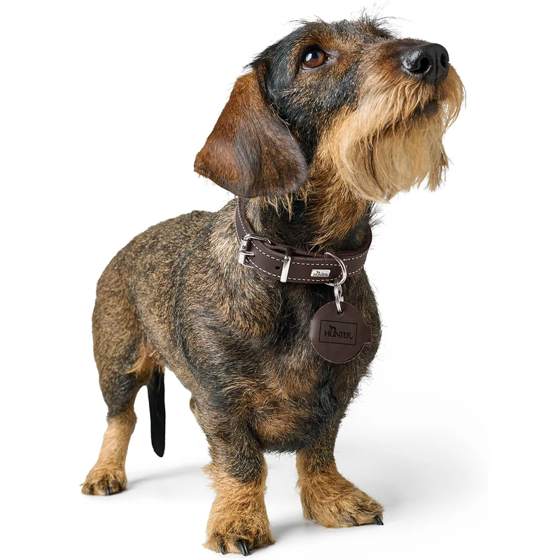 Anhänger Hundemarken-Etui Aalborg