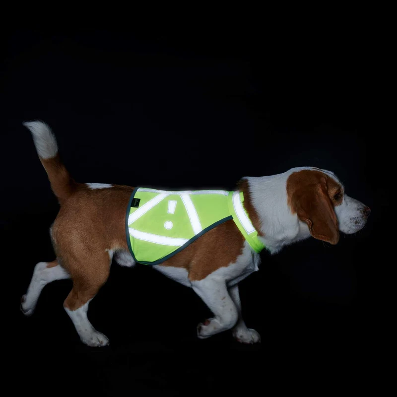 Warnweste für Hunde