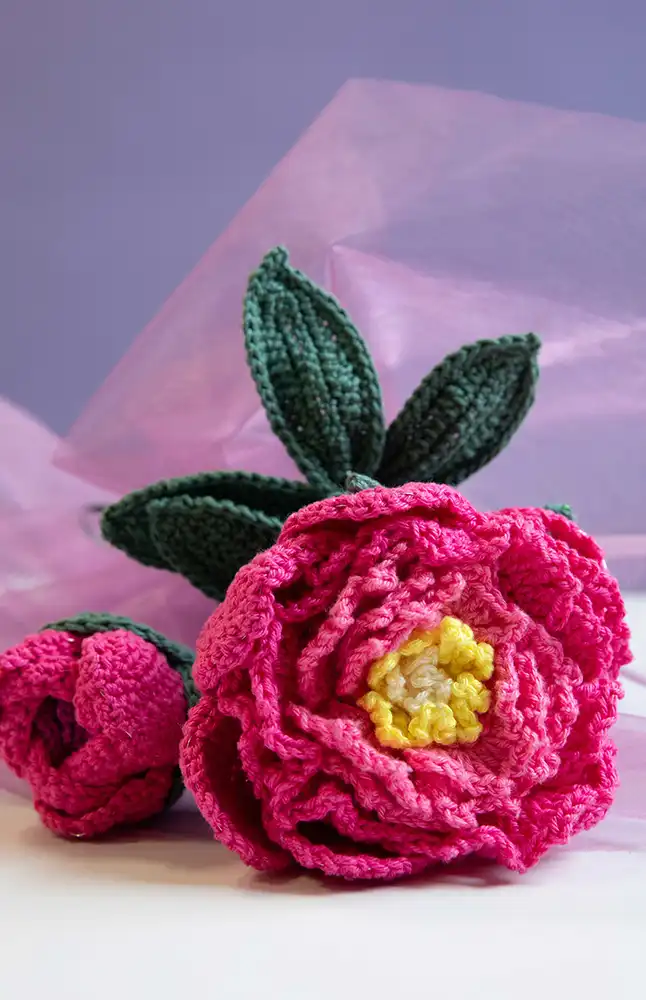 Blume Rose (Häkelset)