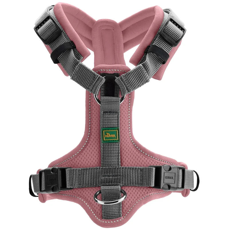 Geschirr Maldon Up