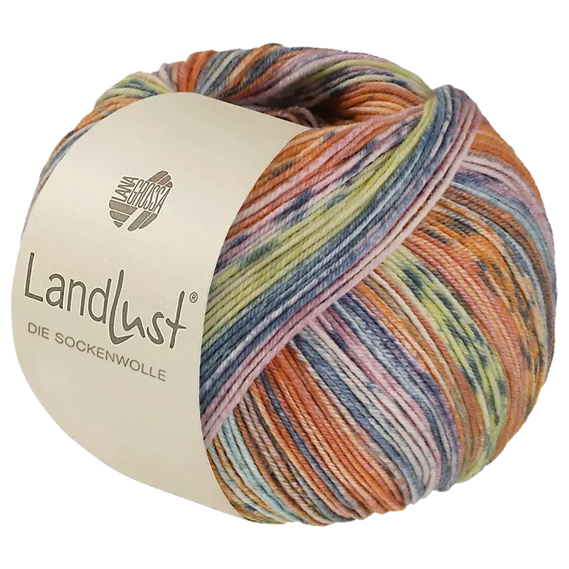 Landlust Die Sockenwolle Seide