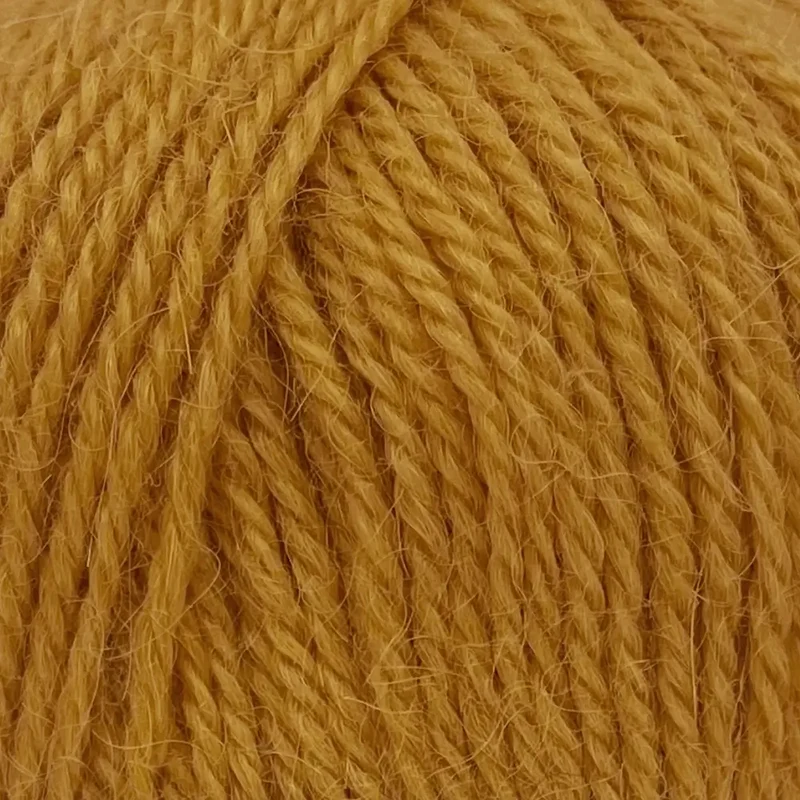 Alpaca