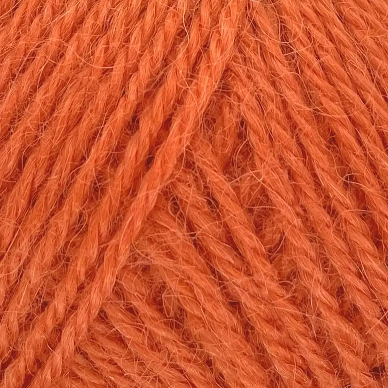 Alpaca