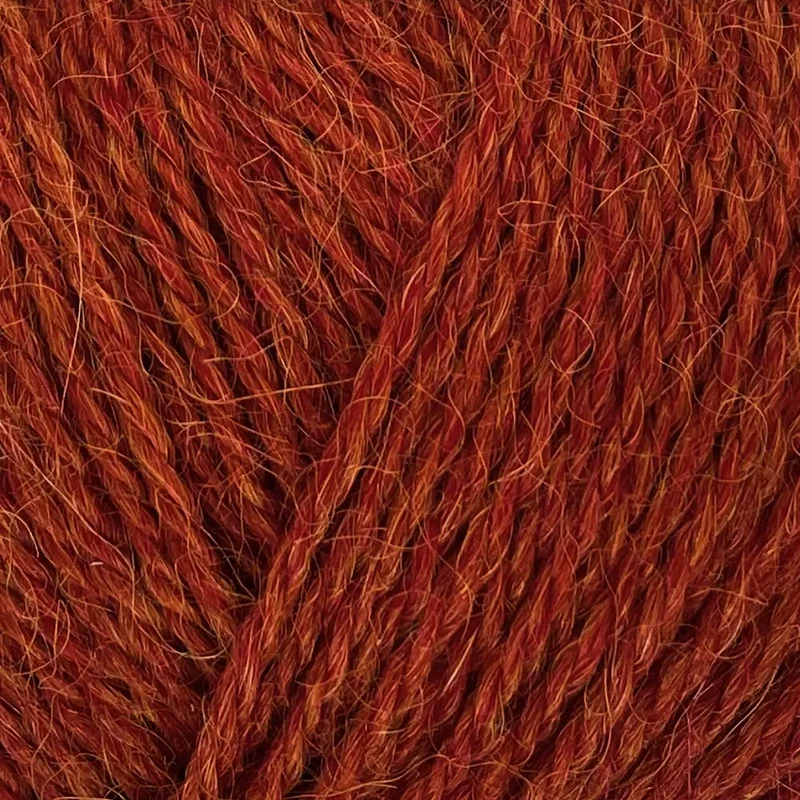 Alpaca