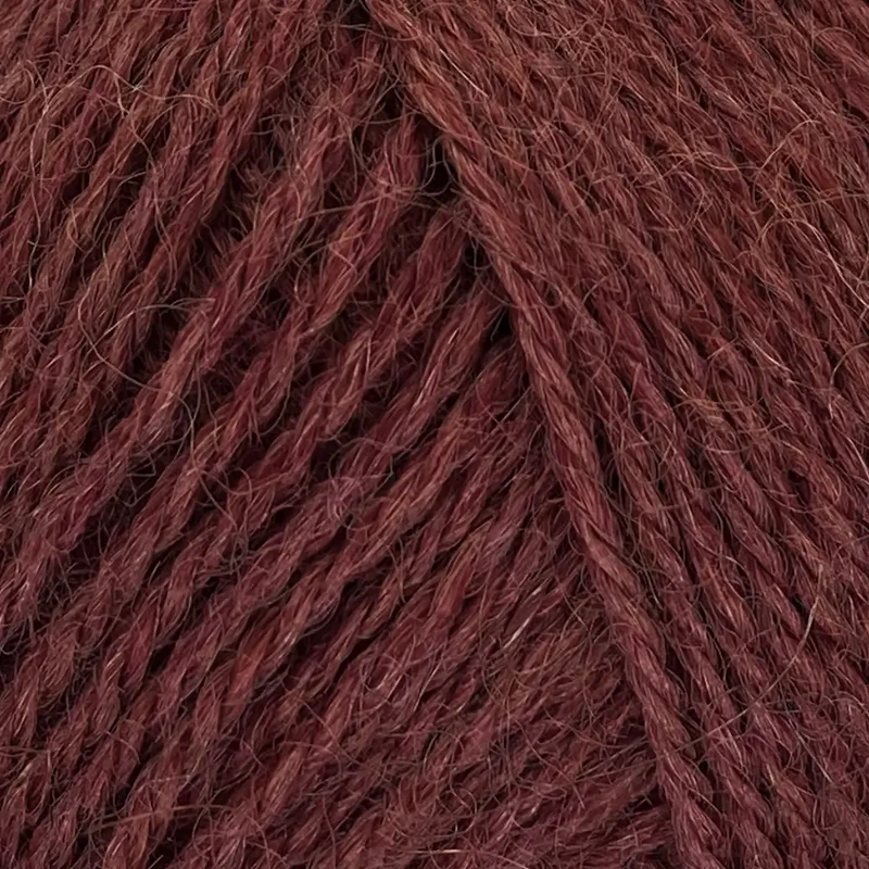 Alpaca