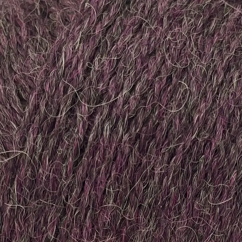 Alpaca