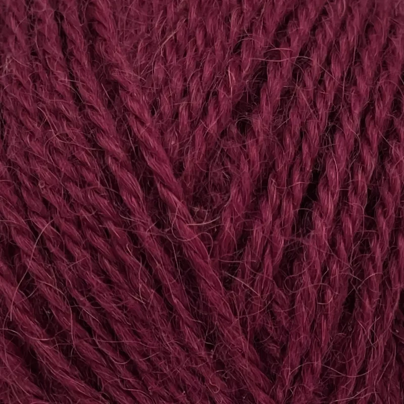 Alpaca
