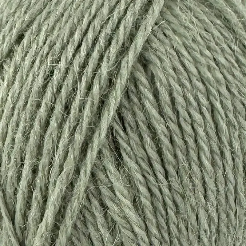 Alpaca
