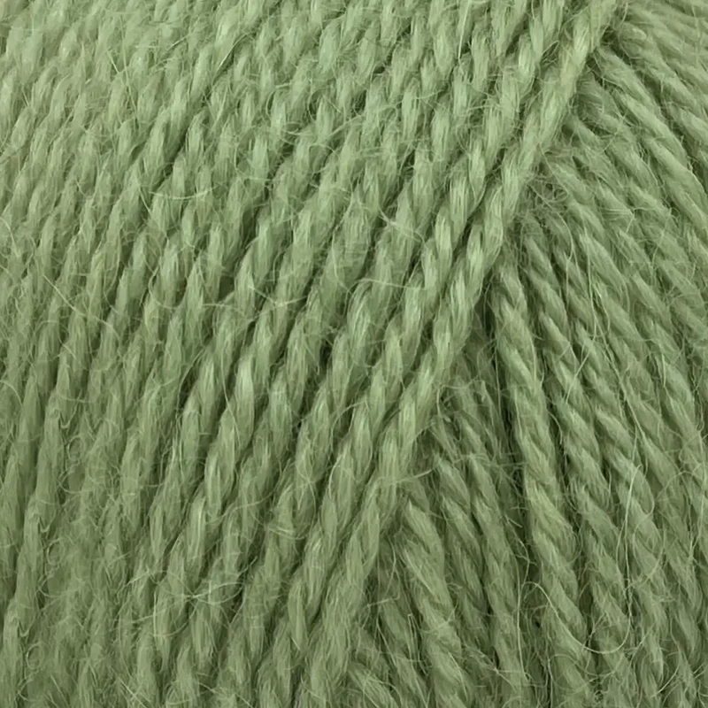 Alpaca