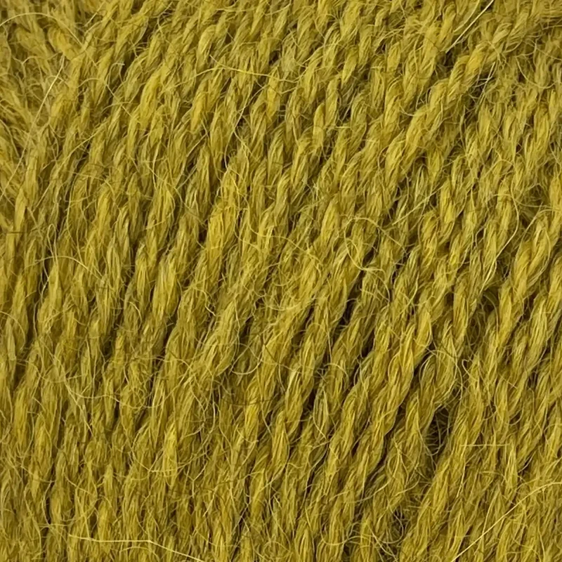 Alpaca