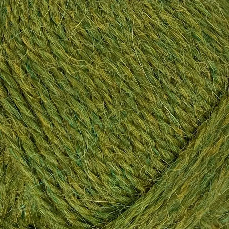Alpaca