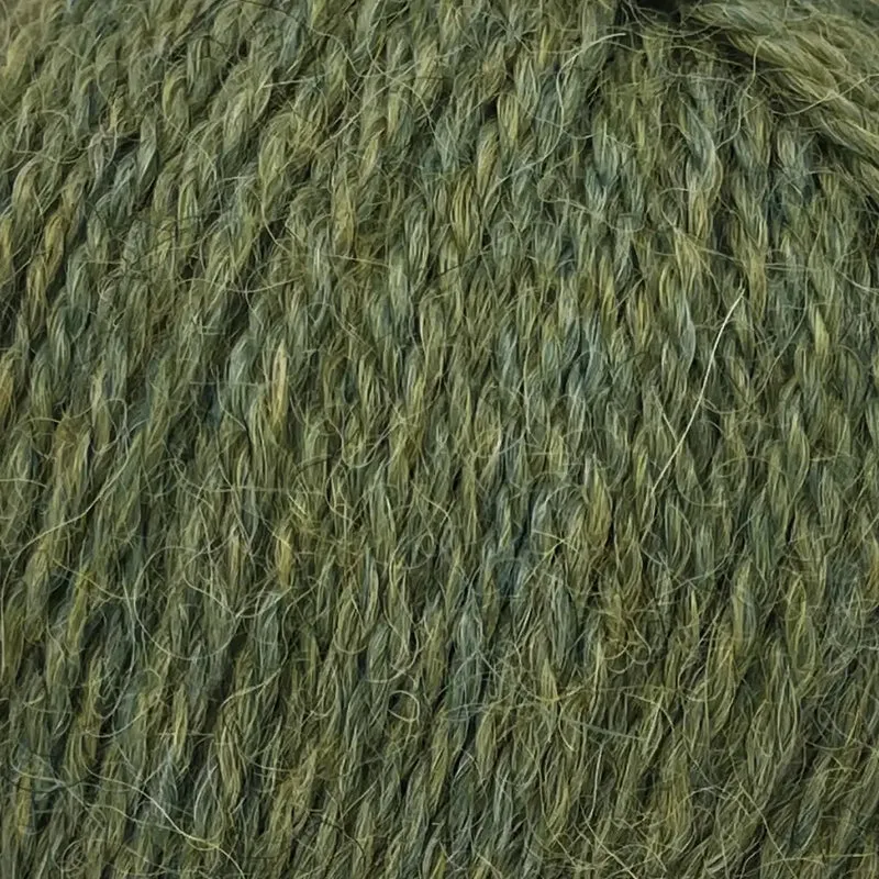 Alpaca