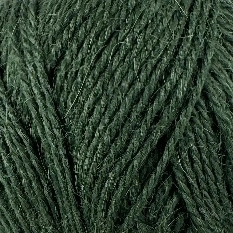 Alpaca