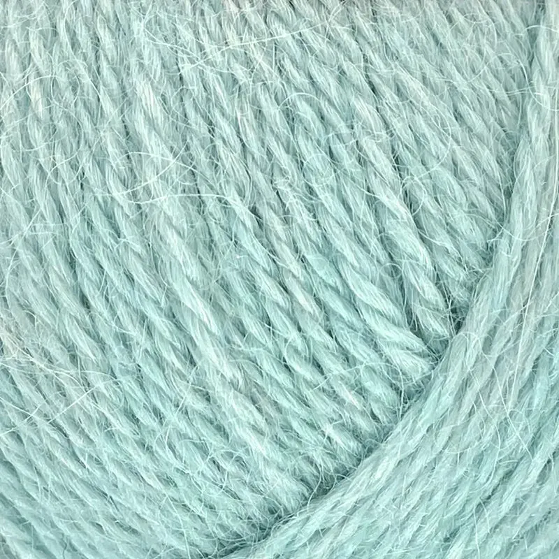 Alpaca