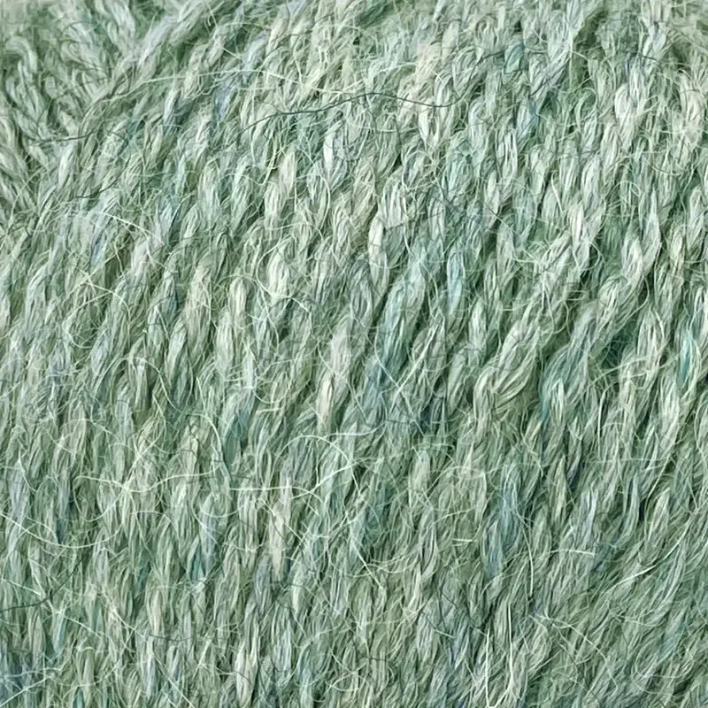 Alpaca