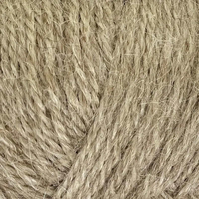 Alpaca