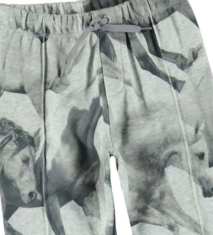 MOLO - Girls sweatpants Aura with horse print
