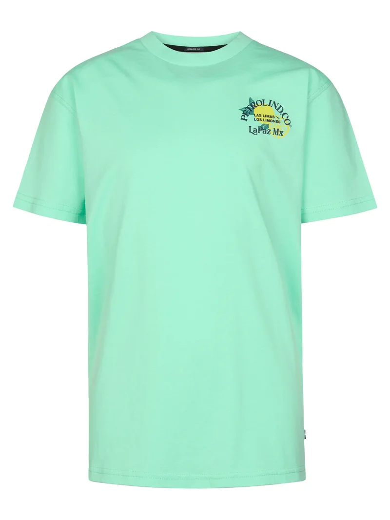 T-shirt met grafische rugprint Costa