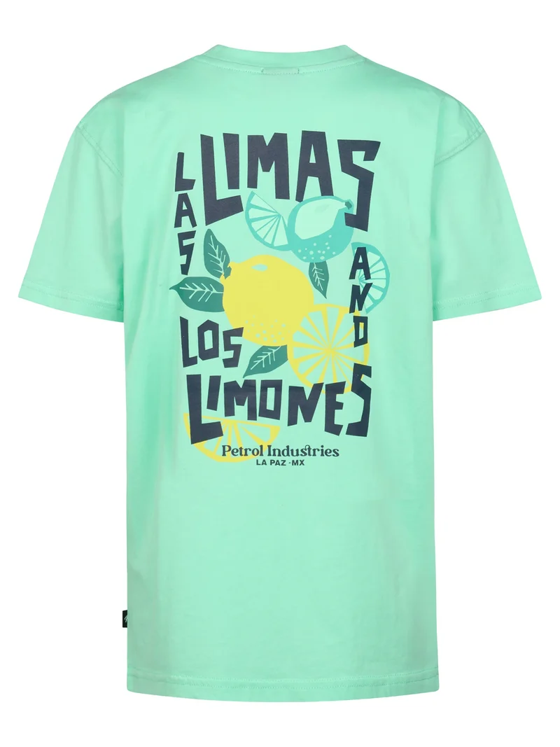 T-shirt met grafische rugprint Costa
