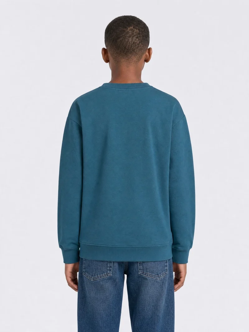 Sweater met print Millbrook